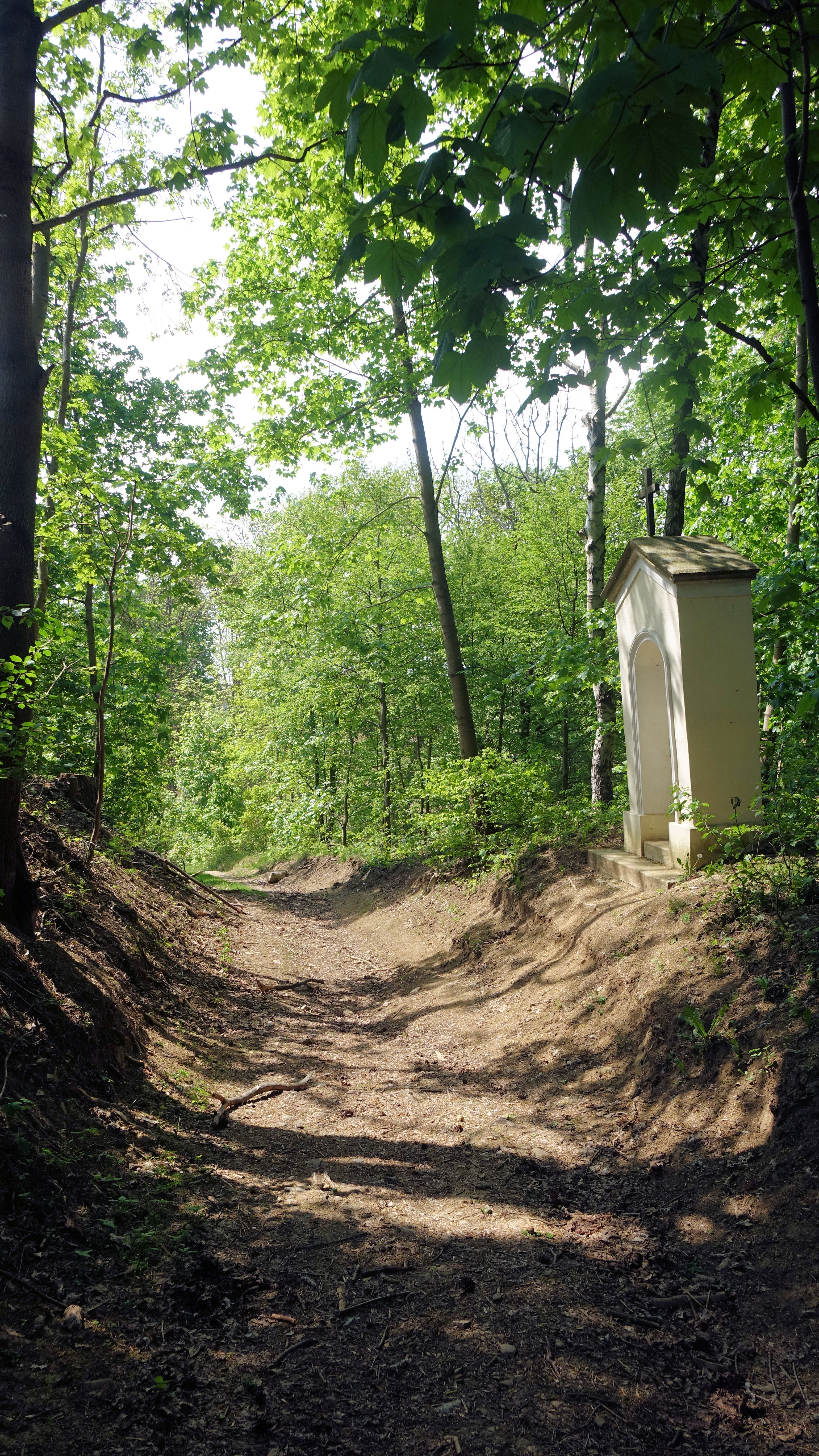 Zastavení křížové cesty vedoucí na vrch Spravedlnost nad Novou Říší