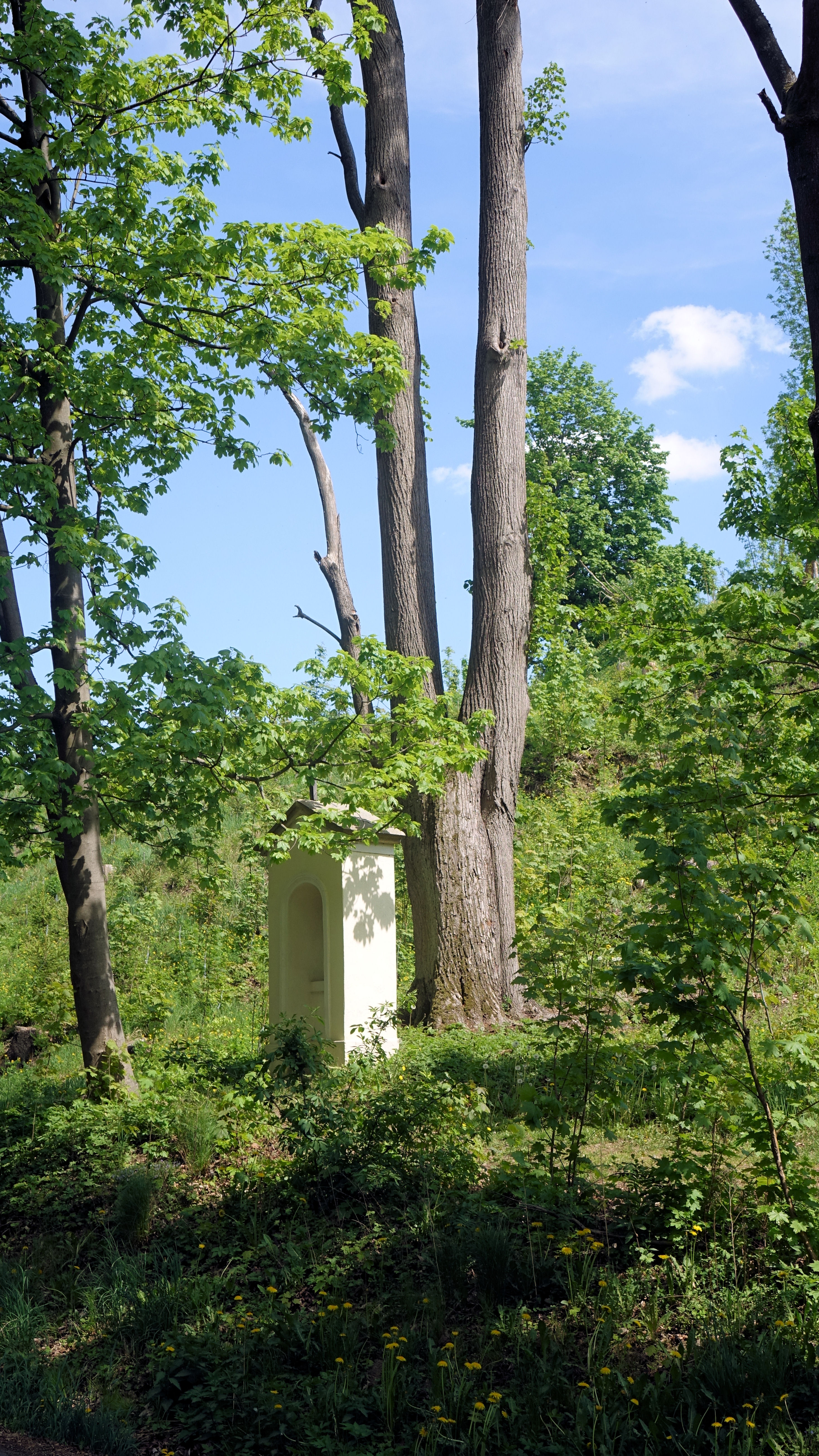 Zastavení křížové cesty vedoucí na vrch Spravedlnost nad Novou Říší